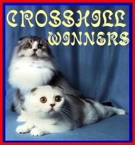 Crosshill Winners