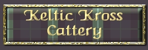 Welcome to Keltic Kross Scottish Folds